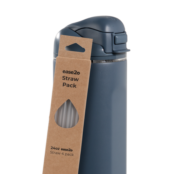 Ease2o Straws 4 Pack 24oz A7